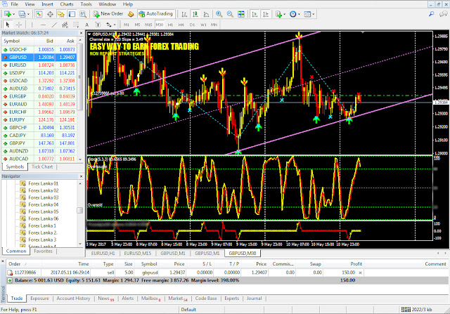 Forex success network