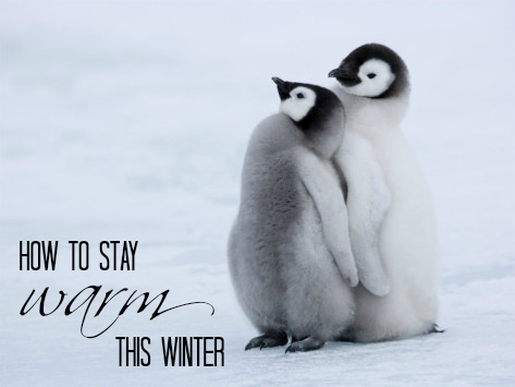 Trees.Hides.: How to keep warm this winter :: head and ears