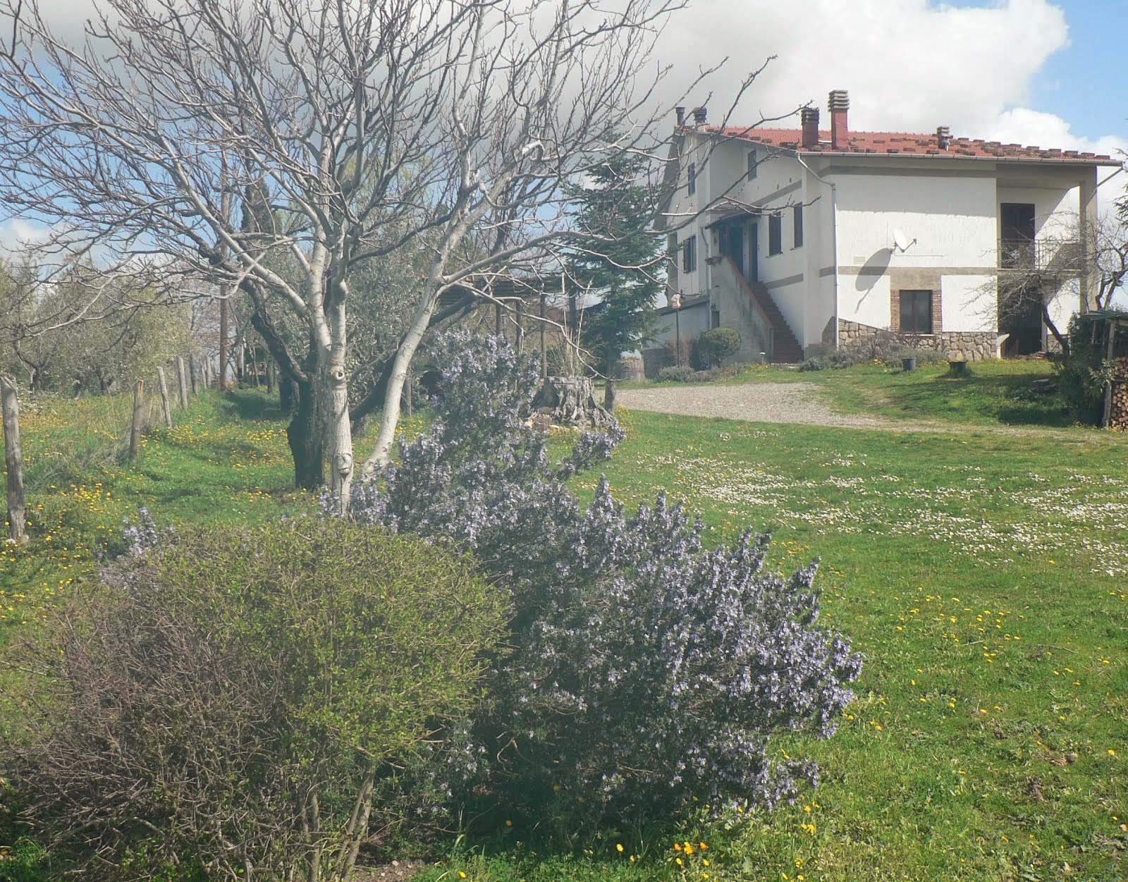 Benvenuta #Primavera #Toscana
