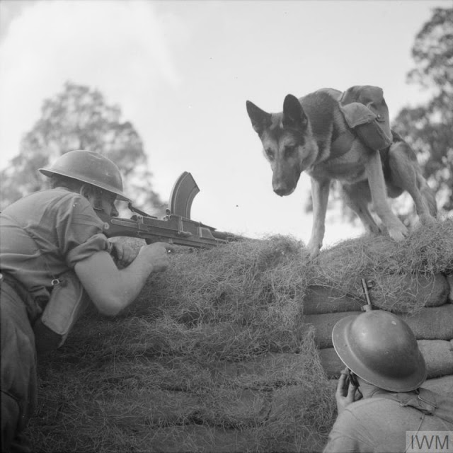 20 August 1941 worldwartwo.filminspector.com