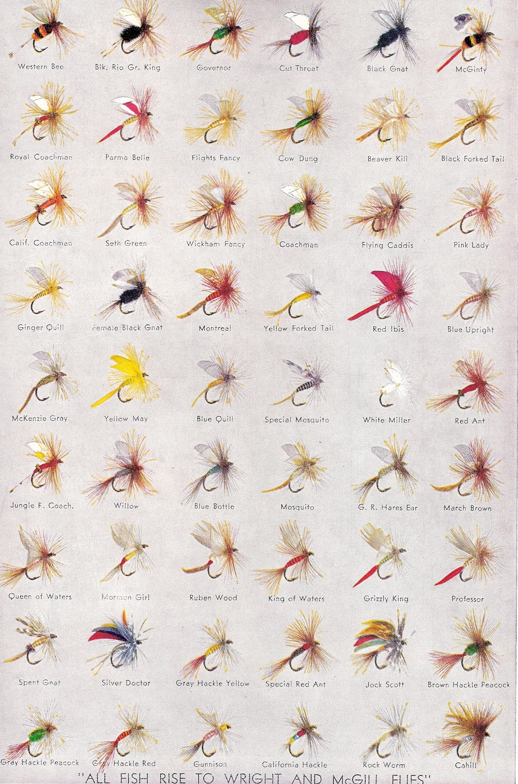 Scan0003 throughout Awesome  types of fishing flies names with regard to Household Scan0003 throughout Awesome  types of fishing flies names with regard to Household