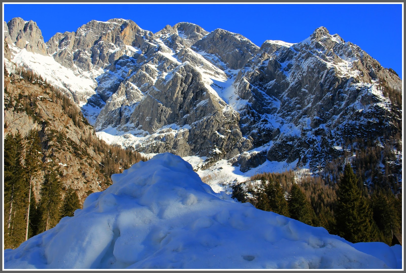 IL BLOG DELLA MONTAGNA IL MANTELLO ELEGANTE DEL COGLIANS IL BLOG DELLA MONTAGNA IL MANTELLO ELEGANTE DEL COGLIANS