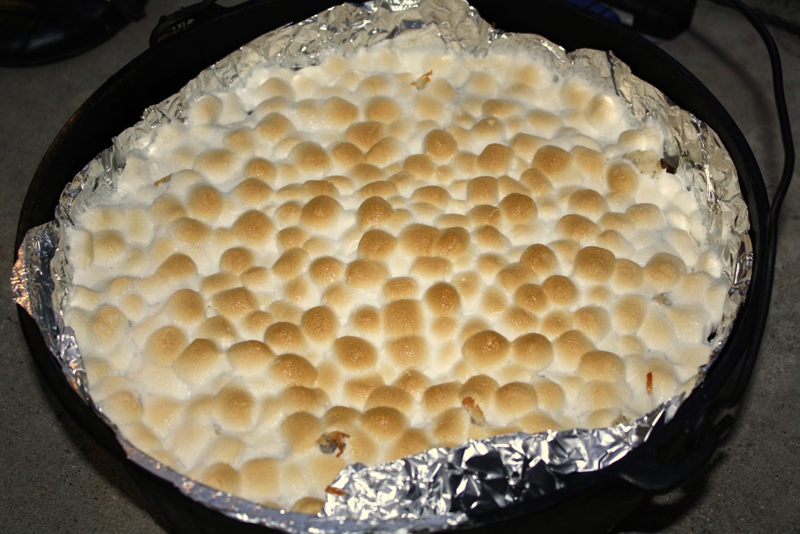 Dutch Oven Chocolate Coconut Marshmallow Cake