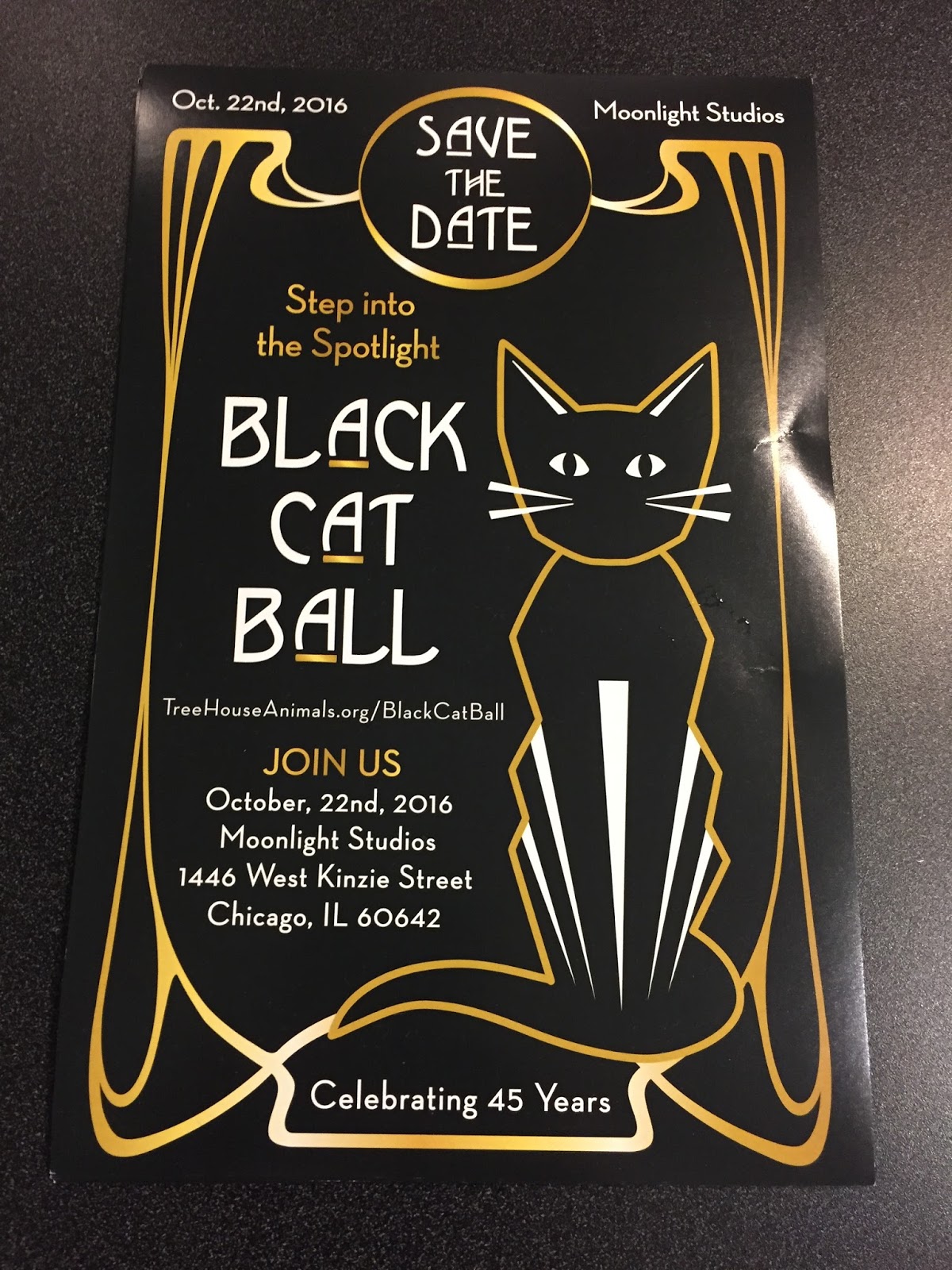 The Global Small Business Blog Tree House's Black Cat Ball