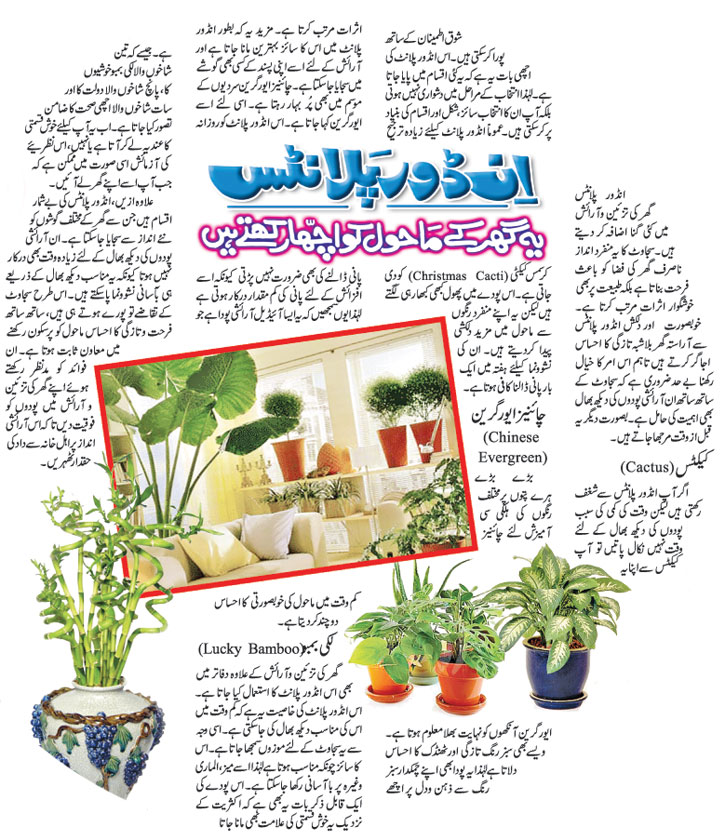 News of Pakistan, World, Business, Sports, Columns,and Poltical Talk