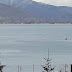 Μικρή αρκουδίτσα έπαιζε επί ώρες στη λίμνη της Καστοριάς (εικόνες)