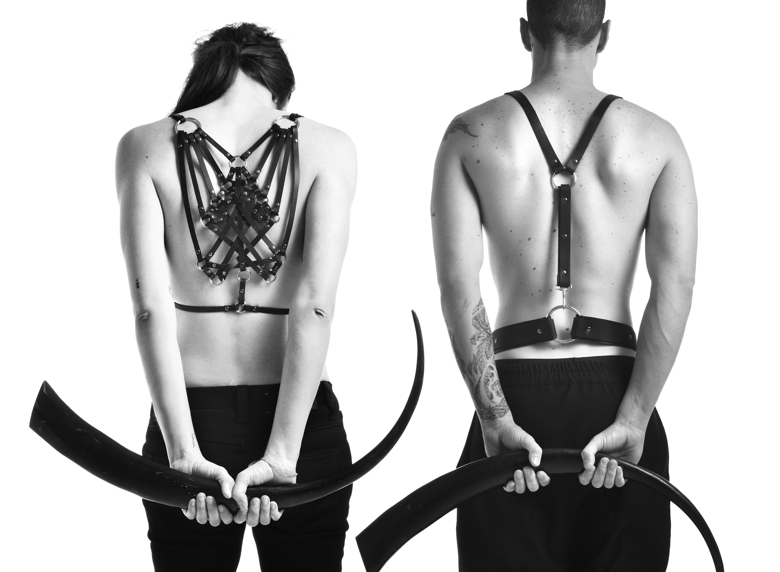 Coveting: Harnesses.