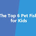 The Top 6 Pet Fish for Kids