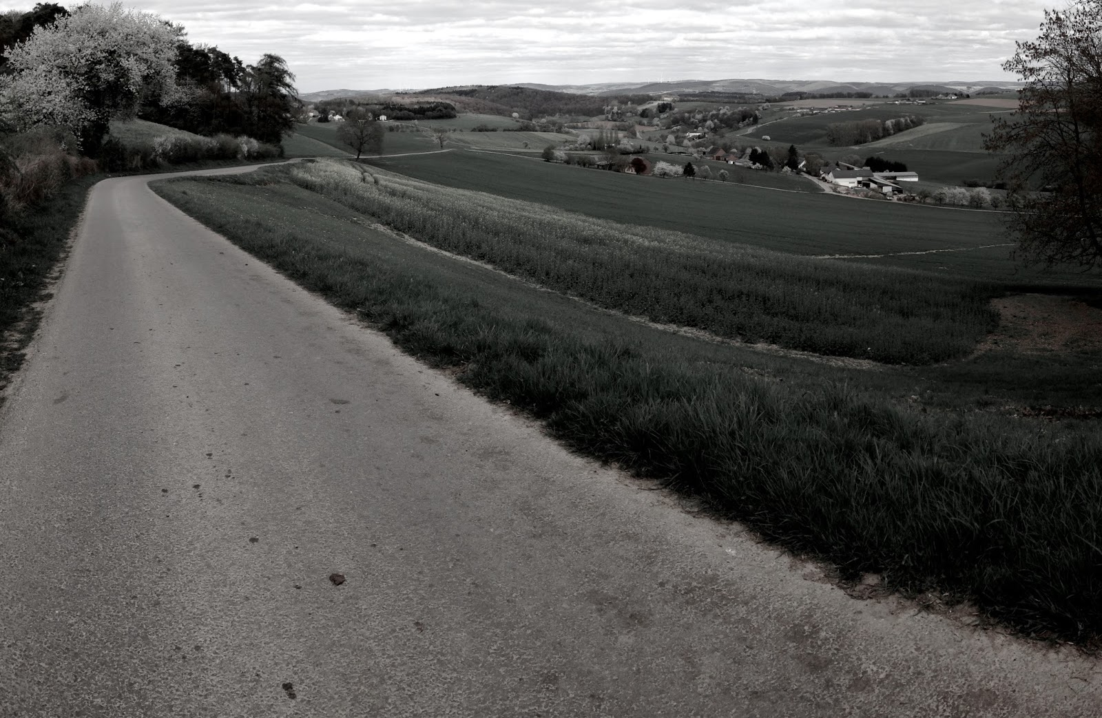 Laufspatz Der Laufblog Ultraschon Rodgau 50 Ultramarathon 2017