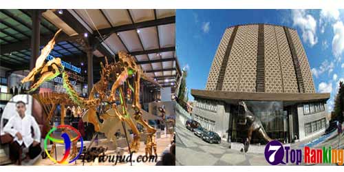 Museum Dinosaurus