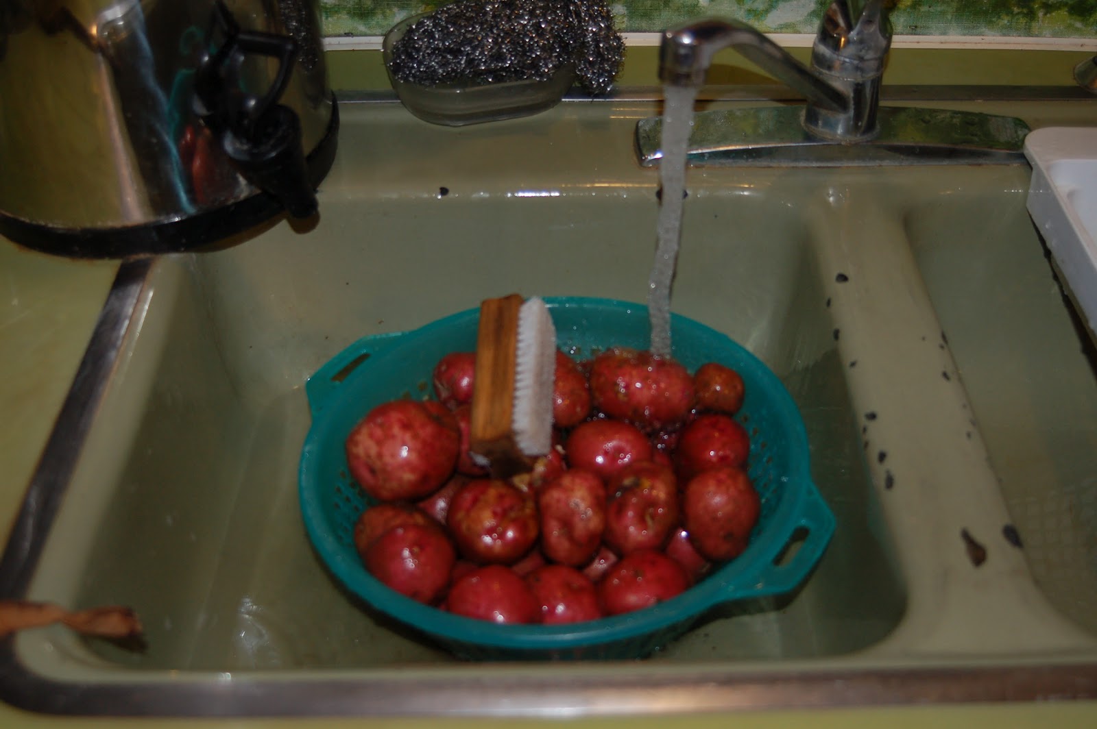 Dehydrating Way Beyond Jerky Dehydrated Parsley Potatoes