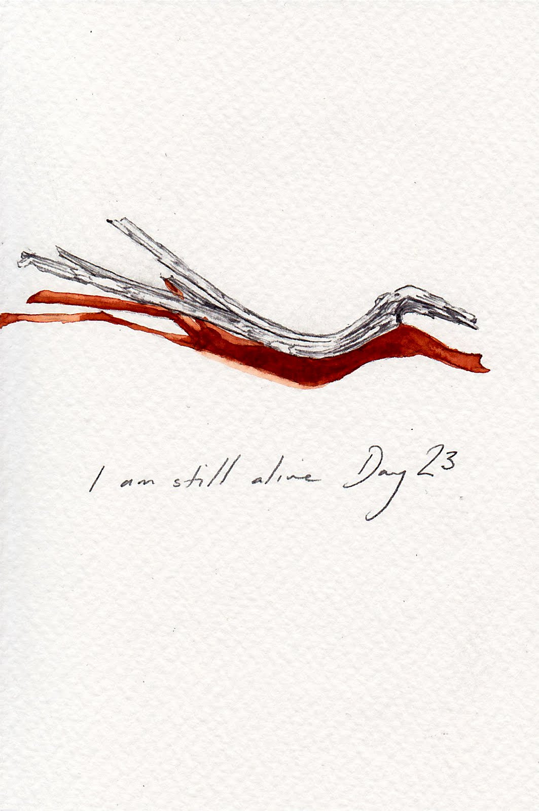 Jacqueline Nicholls omer drawings day 23