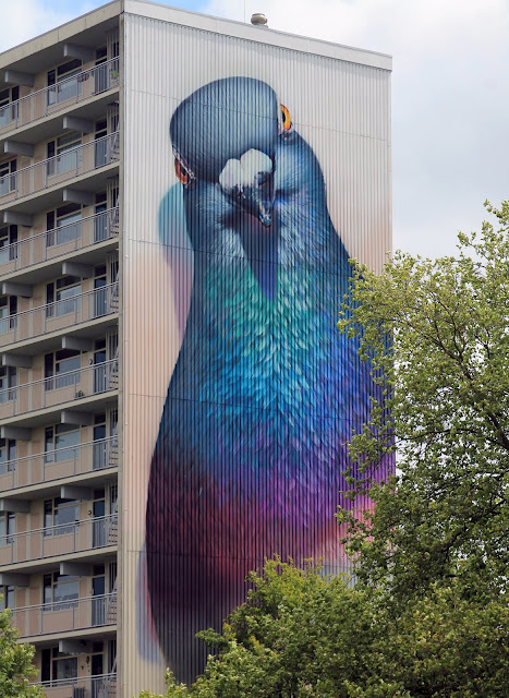 The MuralGoes Festival is kicking off with a brilliant new piece which was just completed by Super-A on the streets of Goes. The 32 meter piece was created ahead of the festival's start which will be taking place from the 1st to 10th of July.