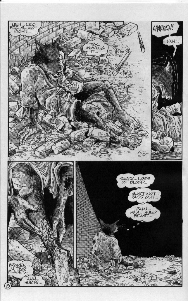 Teenage Mutant Ninja Turtles (1984) Issue #54 #54 - English 9