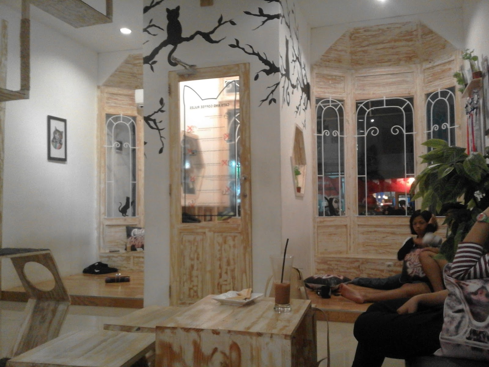 Cafe Kucing Di Yogyakarta