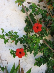 Rundfunk Results From 320