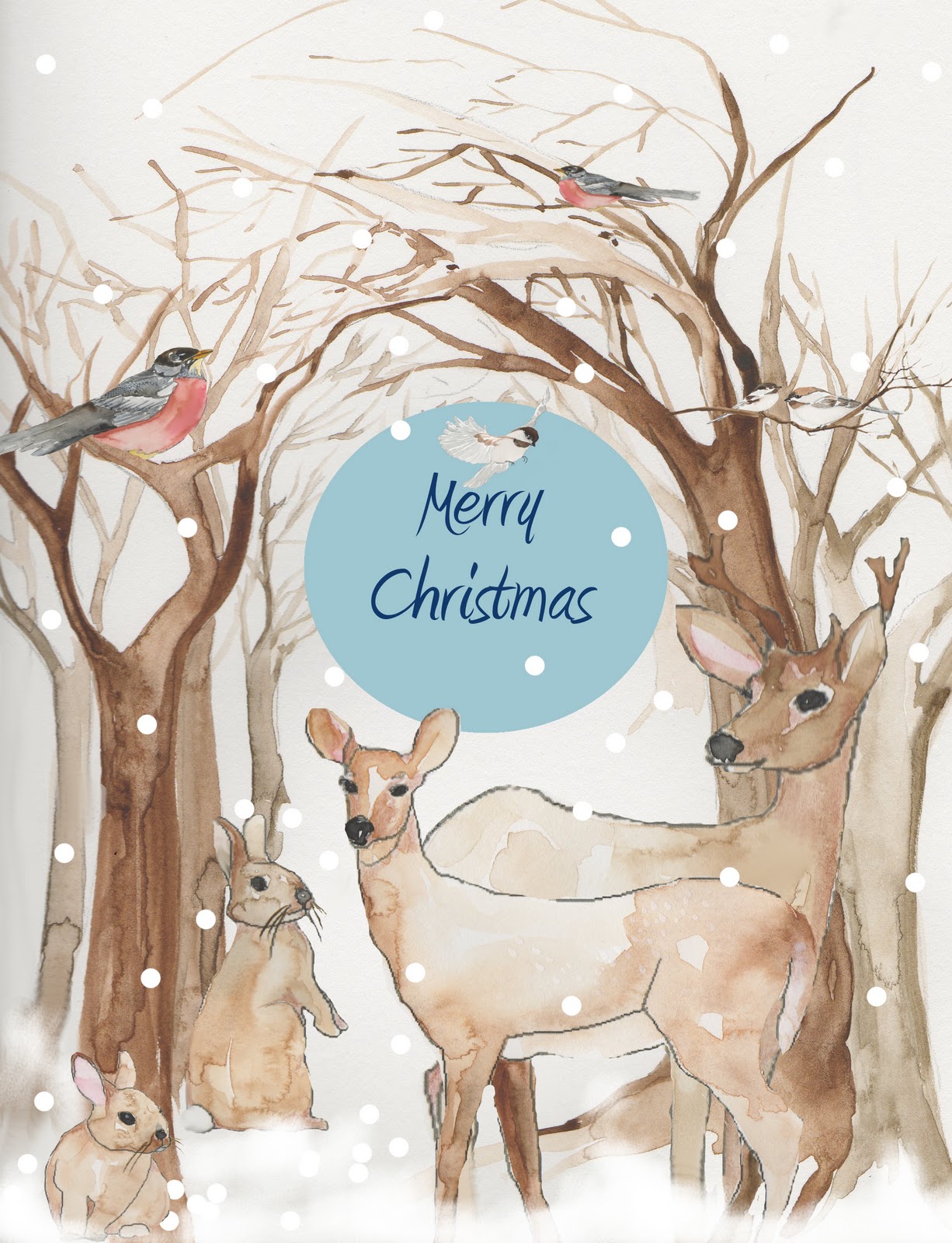 DEEP COVE FLOWERS A Little Christmas Wish