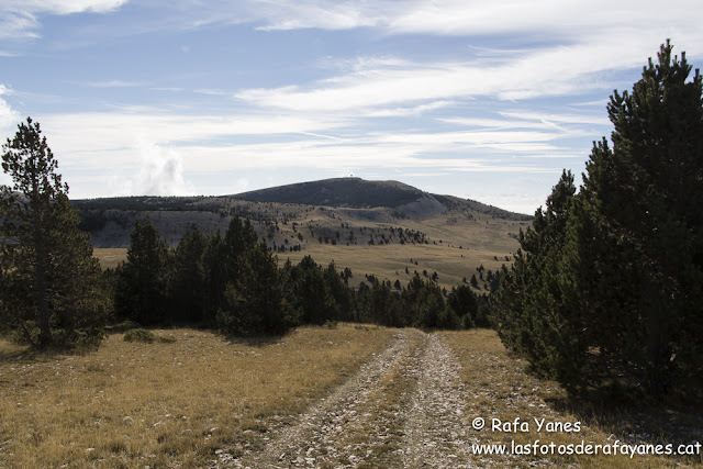 Ruta: Pedró dels Quatre Batlles (2.387 m.) y Puig de les Morreres (2.211 m)