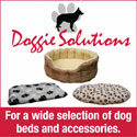 Quality Products For Your Dog