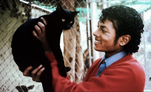 Michael Jackson and a cat