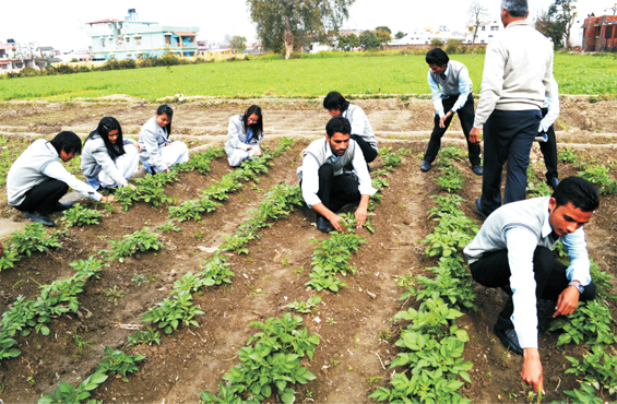 bsc agriculture admission 2019