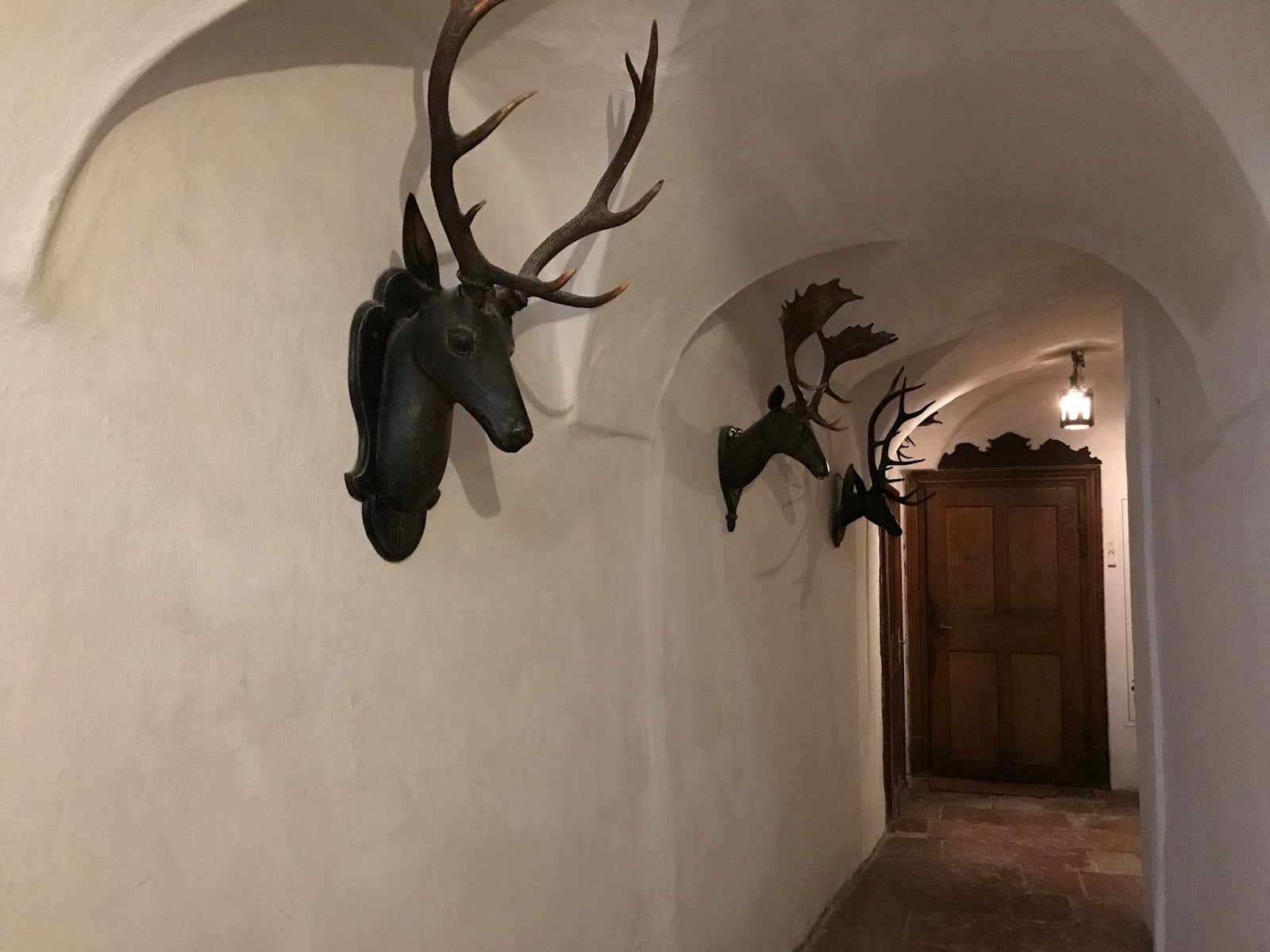 Salzburg Naherholungsgebiet Kapuzinerberg Chamy Travels