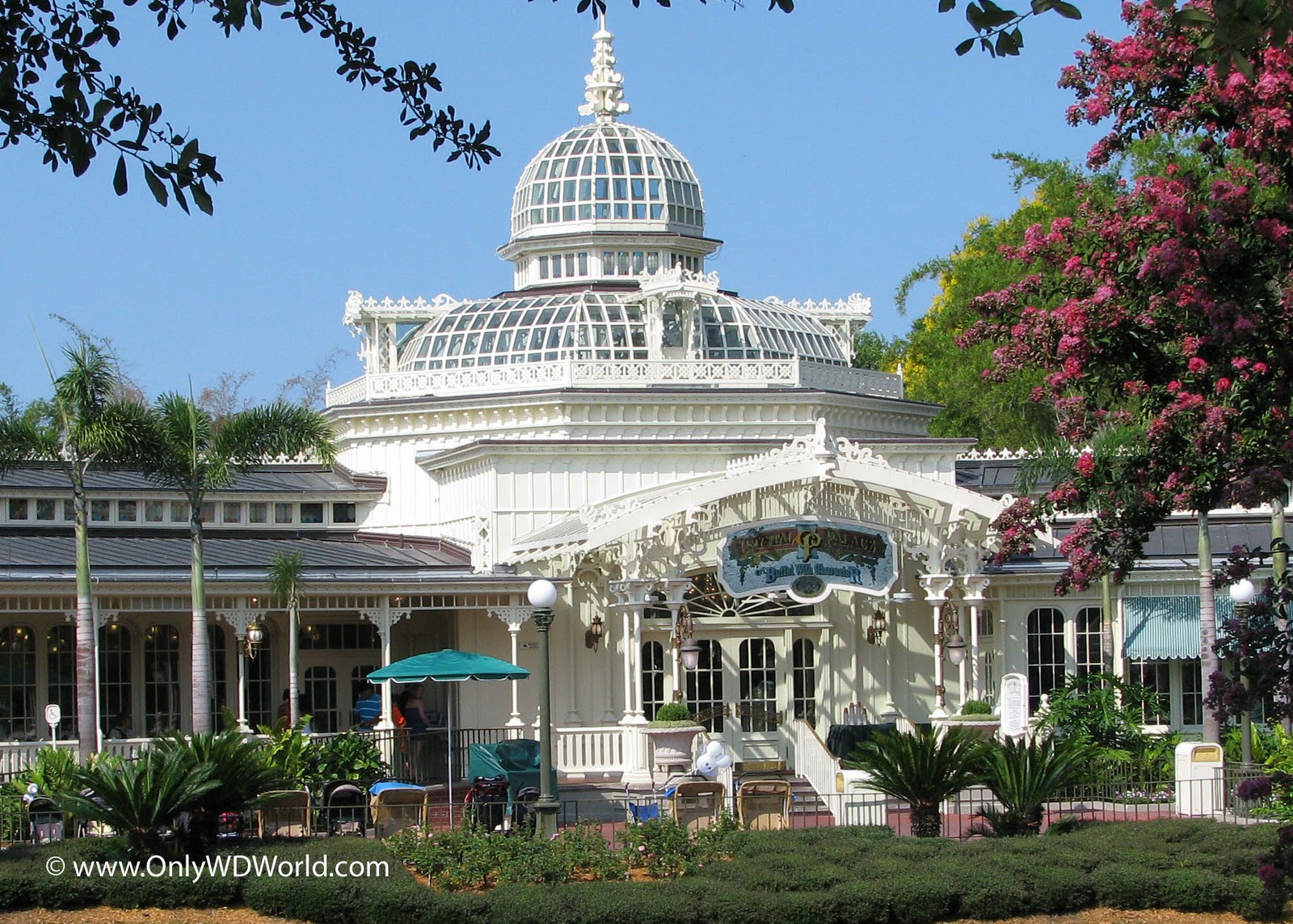 Disney World Character Dining Magic Kingdom's Crystal Palace Disney
