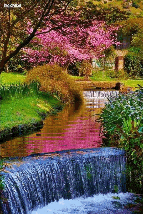 Garden on Ninfa, Italy