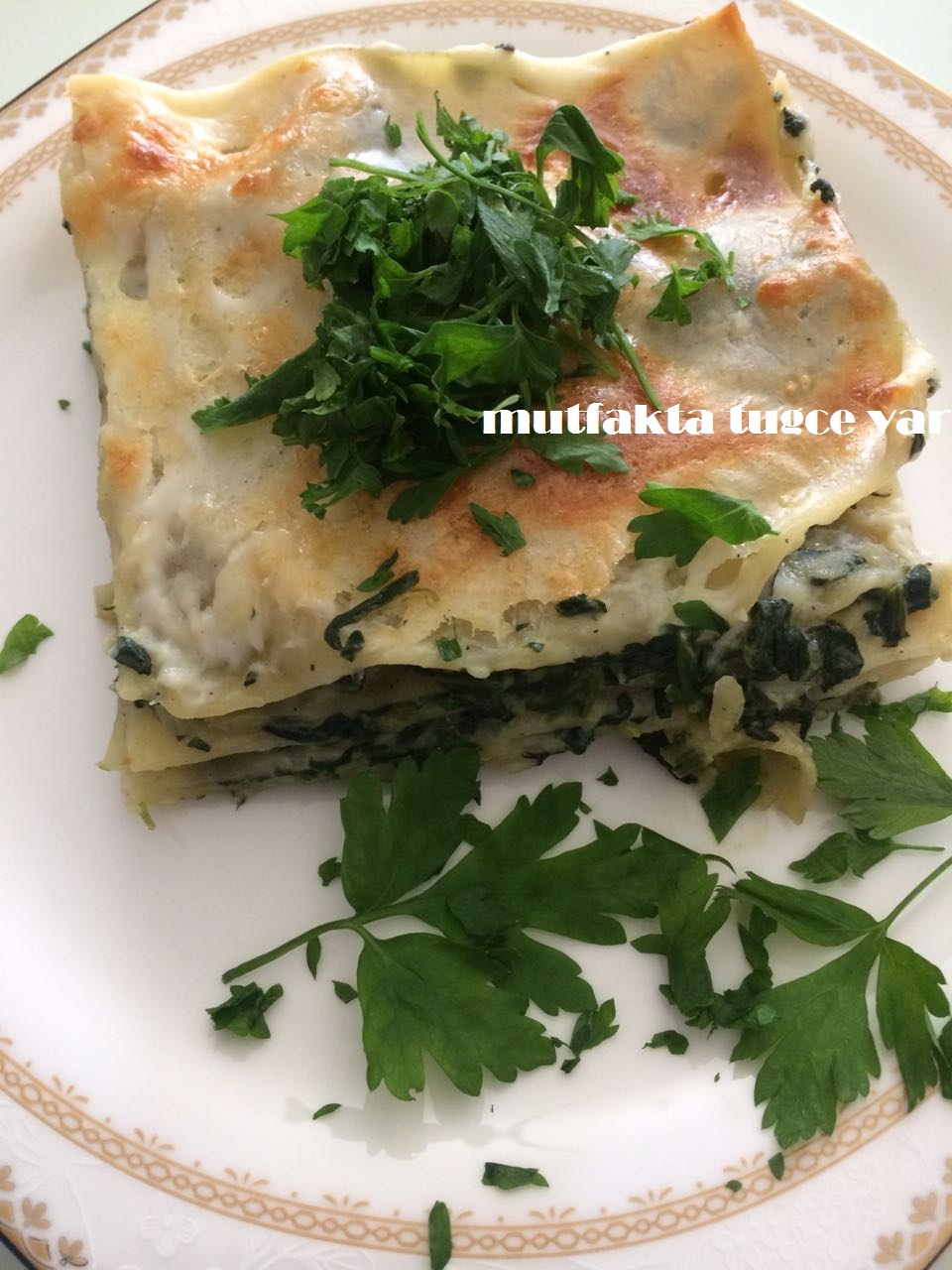 Ispanaklı Ve Peynirli Lazanya Tarifi Ispanaklı Ve Peynirli Lazanya Tarifi
