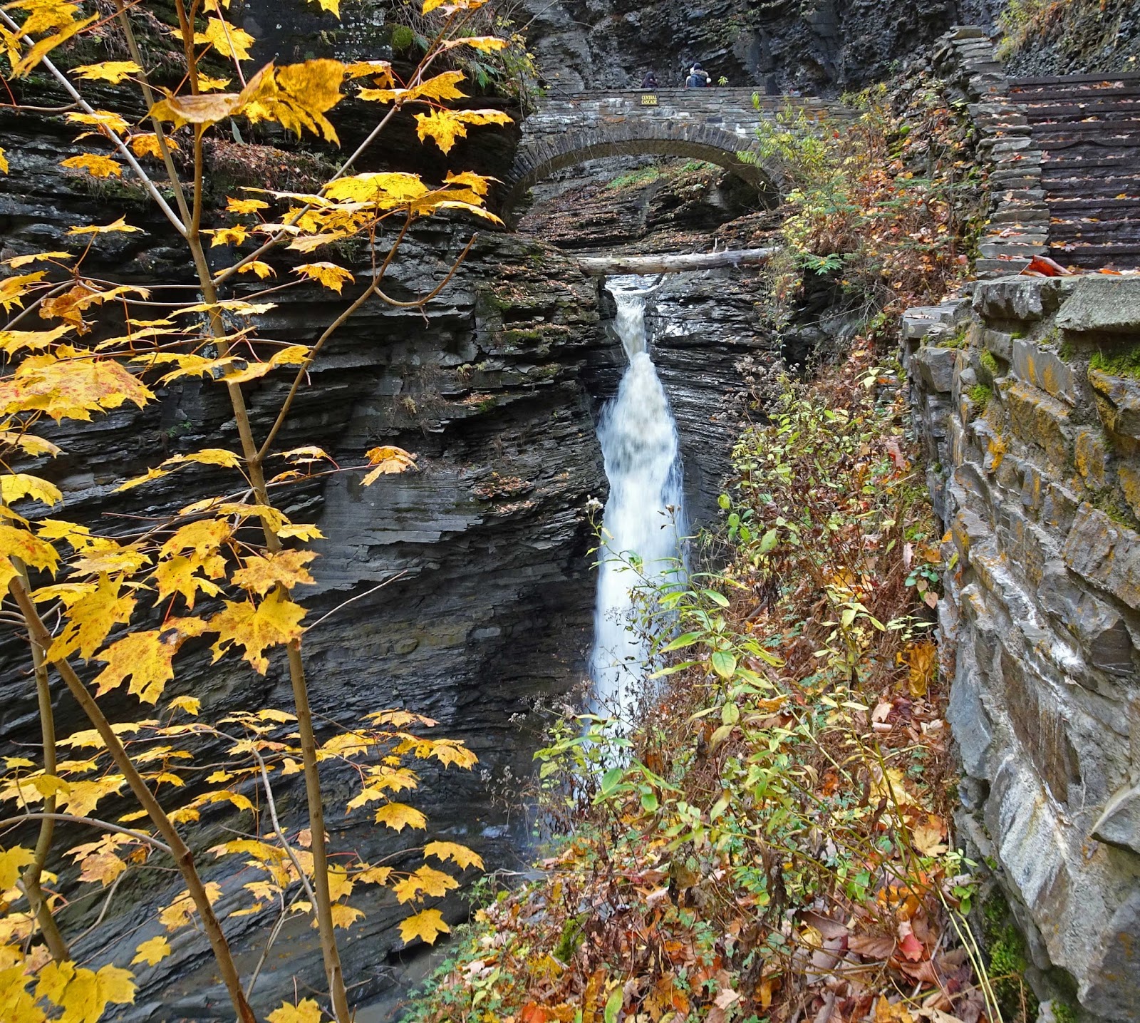 Joe's Retirement Blog Watkins Glen State Park, Watkins Glen, New York, USA