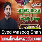 https://www.humaliwalyazadar.com/2018/09/syed-wasooq-shah-nohay-2019.html