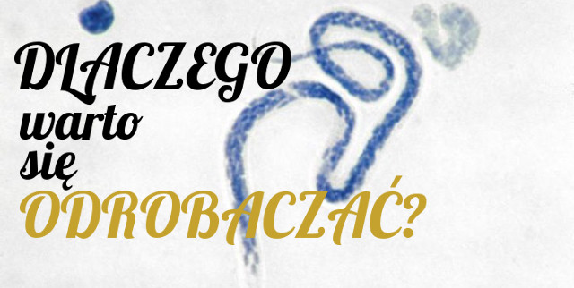 dlaczego warto się odrobaczać robaki