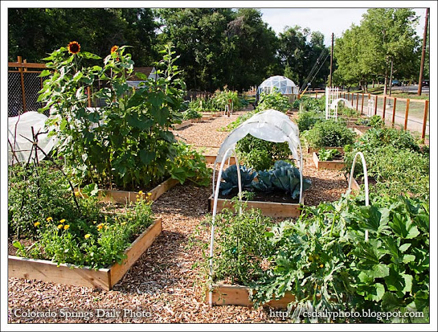 Colorado Springs Daily Photo Mid Shooks Run Community Garden