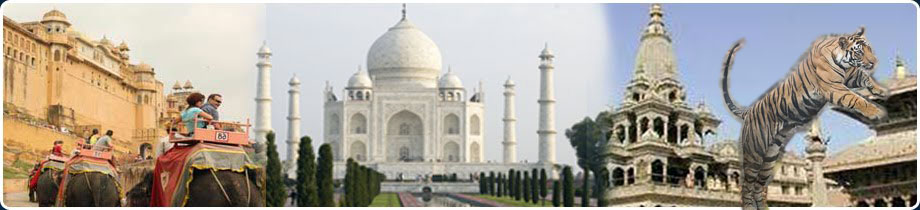 Blog About Latest Travel News, Guides and Tips : Guided Tours India