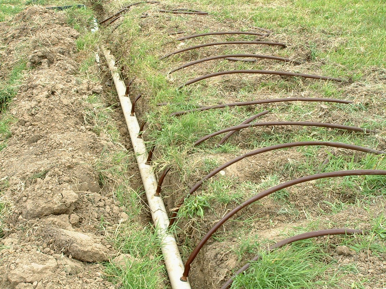 Advantages of Subsurface Drip Irrigation Cultivation Of Crops