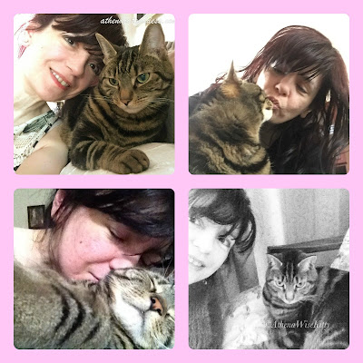 tabby cat and her human collage
