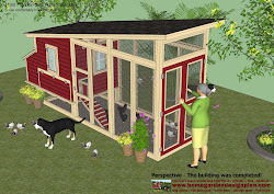 plans chicken coop build construction chickens m100 crazy detailed coops designs lady backyard