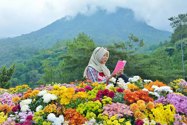 Wisata Batu Flower Garden Malang