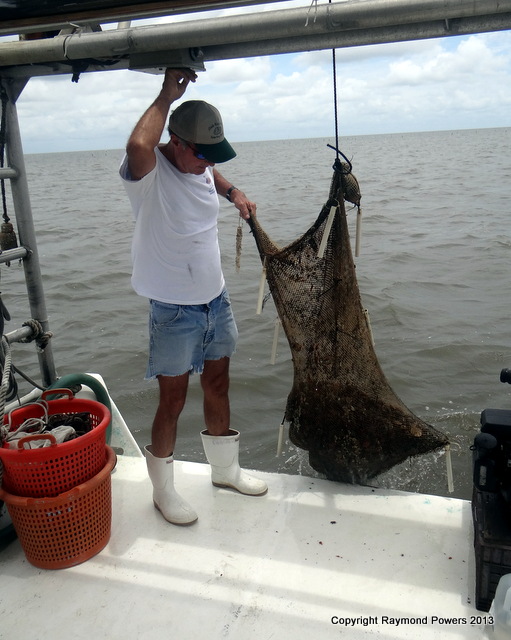 PURE FLORIDA CLAM FARMING AT CEDAR KEY FIELDTRIP!