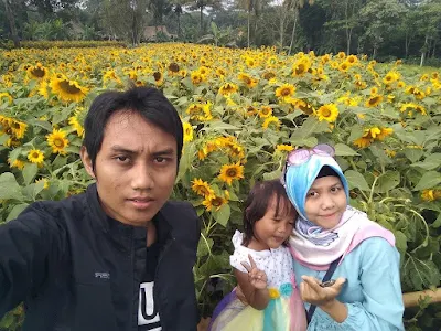 Helio Garden Yogyakarta