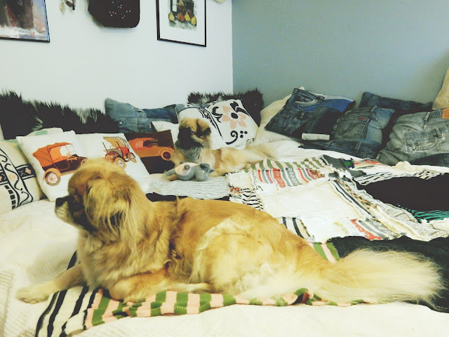 Maailman rumin peitto-DIY