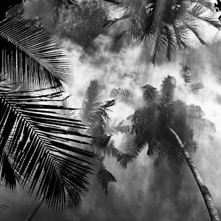 edit foto hitam putih yang bagus foto zetsu putih dan hitam 10 foto hitam putih lomba foto hitam putih 2015 foto hitam putih 3x4 membuat foto hitam putih 3x4 foto hitam putih yang bagus foto hitam putih yang mengerikan foto hitam putih yang baik membuat foto hitam putih yang bagus membuat foto hitam putih yang dramatis membuat foto hitam putih yang baik