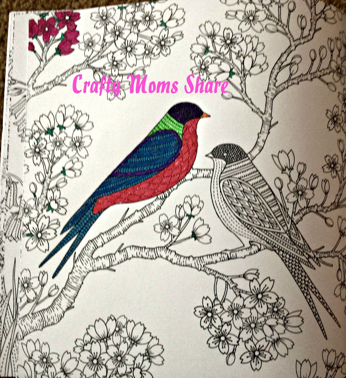 Crafty Moms Share: Colour Your World -- Relaxing Friday Adult Coloring  Review