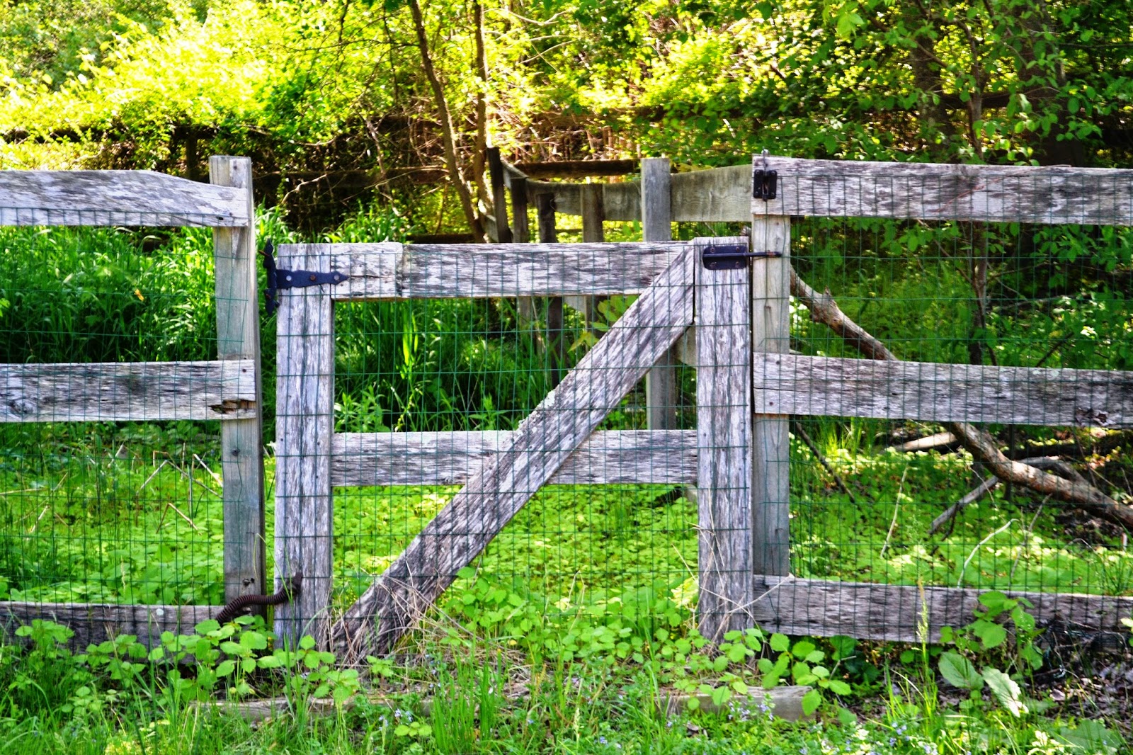 It's All About Purple Good Fences Edition 10