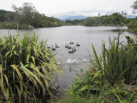 lake-mangamahoe