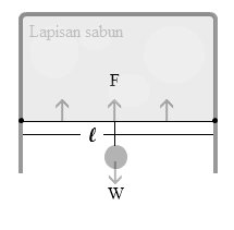 Soal Dan Pembahasan Tegangan Permukaan Mata Pelajaran