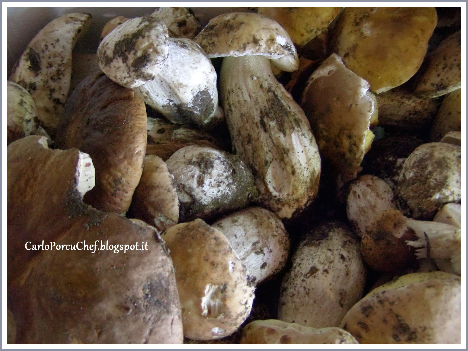 Carlo Porcu Chef Ricetta RISOTTO ai PORCINI e VINO ROSSO DI