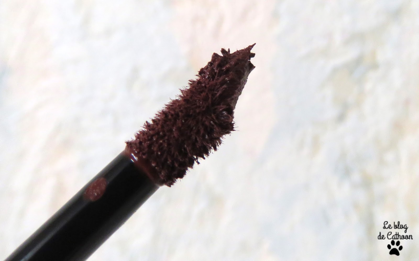 Lip Paint Matte - Rouge à Lèvres Infaillible - L'Oréal - 213 Stripped Brown