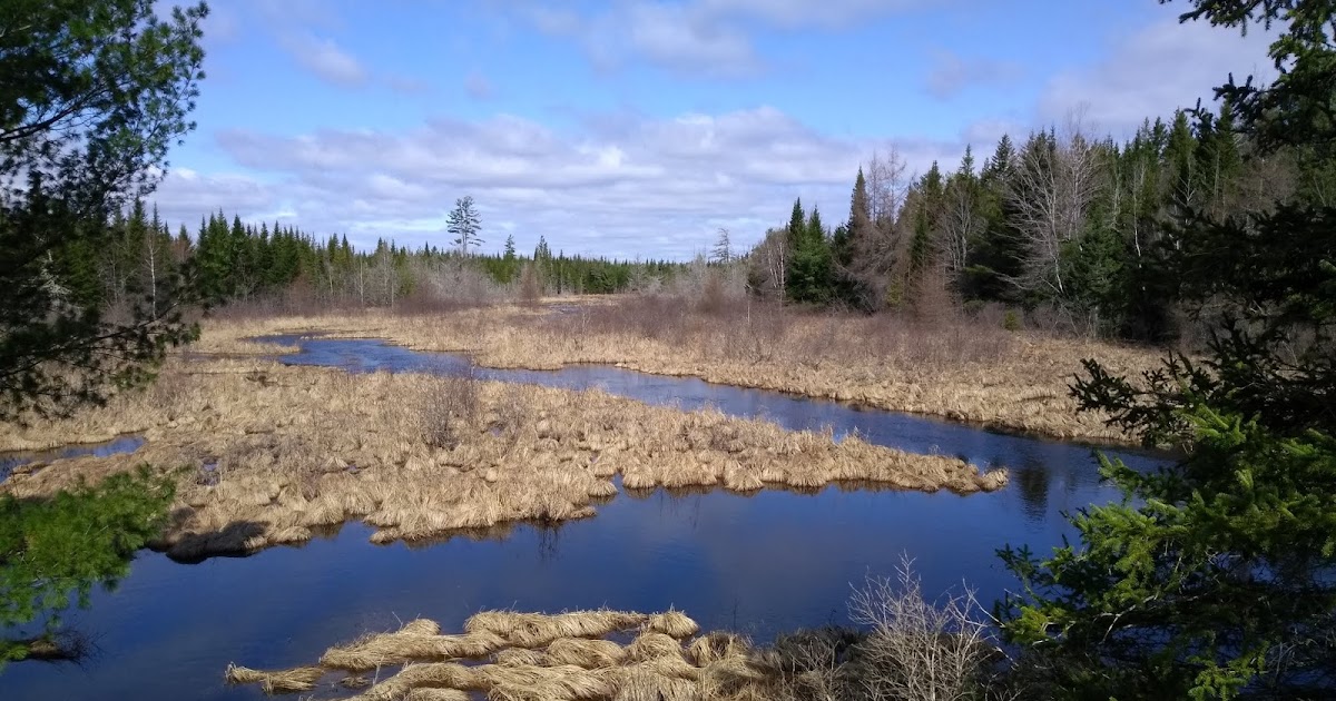 Biking and Hiking on the Down East Sunrise Trail in Ellsworth