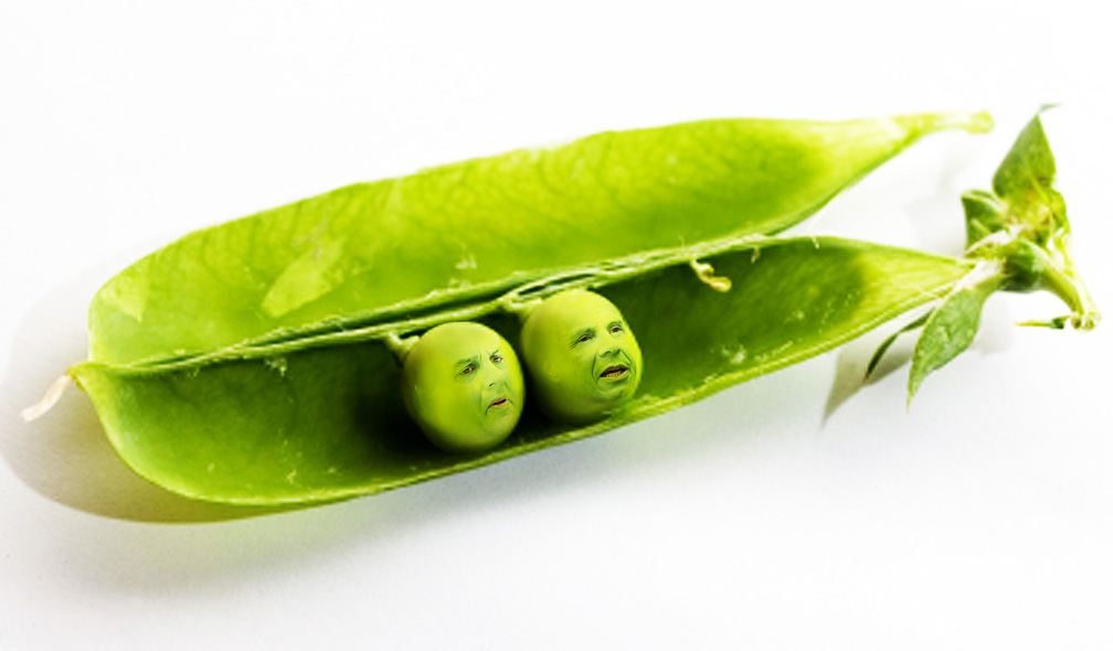 the-forest-two-peas-in-a-pod